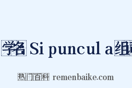 学名：Sipuncula组词是什么意思的图片